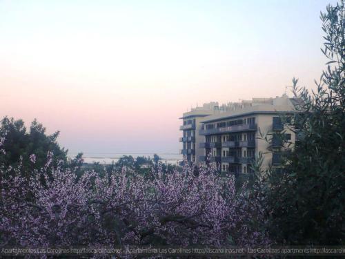 Apartaments Las Carolinas Sant Carlos de la Ràpita Buitenkant foto